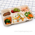 100% Compostable Sugarcane pulp Lunch Box